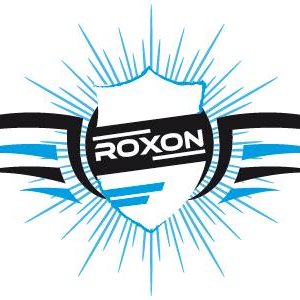 ROXON esports icon