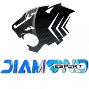 Diamond.Esport [Ho'STYLE] logo