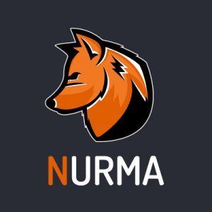 Nurma E-Sport icon