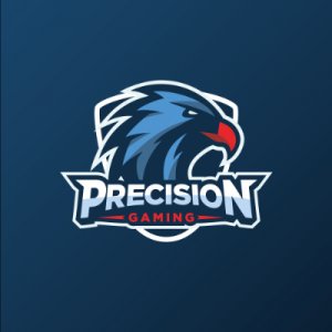 Precision-Gaming icon