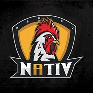 Nativ Gaming | Section Fun logo