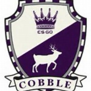 CobbleStoned icon