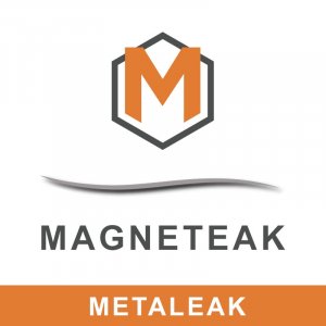 Magneteak logo