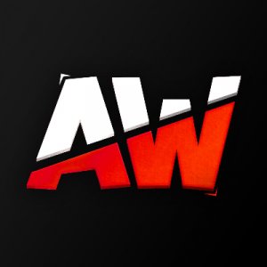 Anwise e-Sport logo