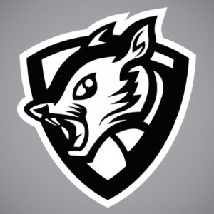 Black Shield logo