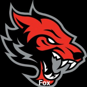 Team FoxFire logo