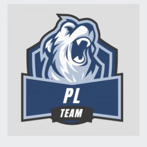 P0lar Team logo