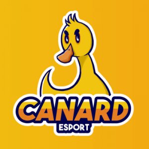 Canard Esport logo