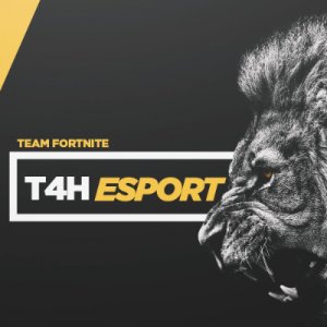 T4H eSport logo