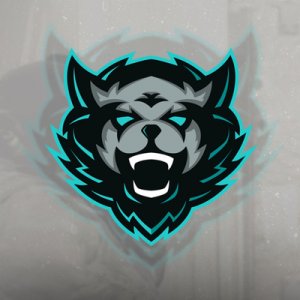 Rayanbeastgaming icon