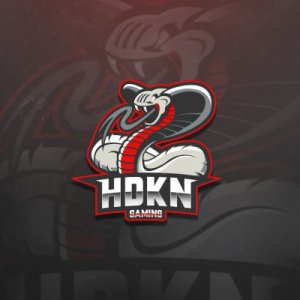 HDKN Gaming logo