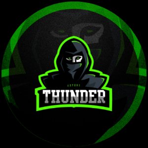 Thunder E-sport © logo
