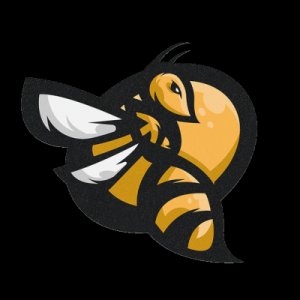St1nG logo