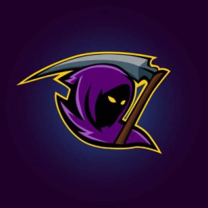 Verocity Esport logo