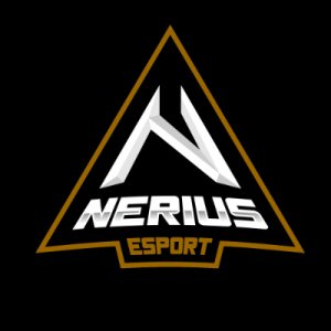 Nerius logo