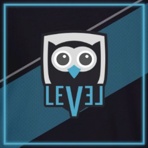 Level V eSports logo