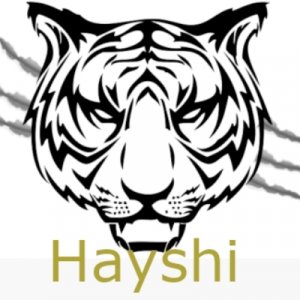 Hayshi logo