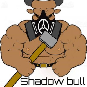 Shadows bulls logo