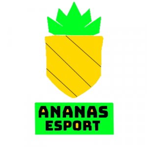 Ananas logo