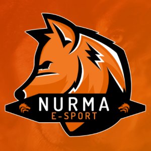 Ipsilon - Nurma E-Sport logo