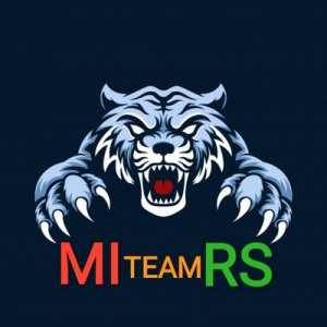 MIRS-Team logo