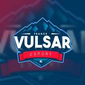 Vulsar logo