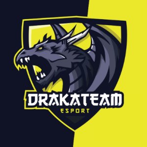 Drakateam logo