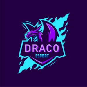 DRACO e'sport logo