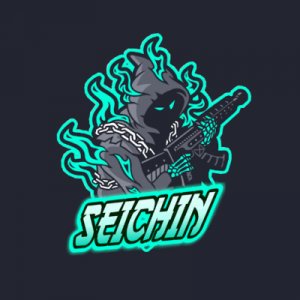SEICHIN logo