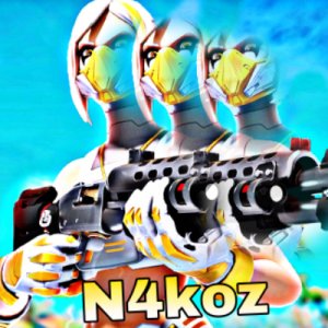 N4koz logo