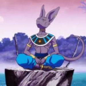 do like beerus icon