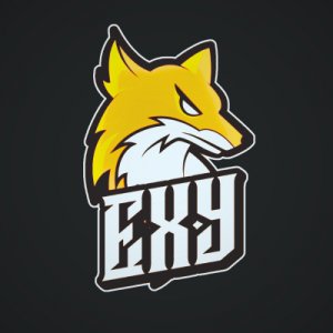 ExyTinG icon