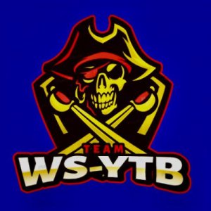 WS-GOLD-YTB icon