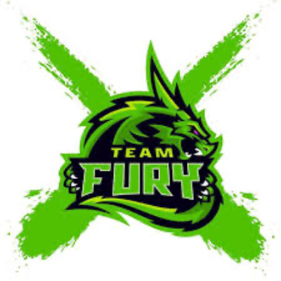 Team Fury logo