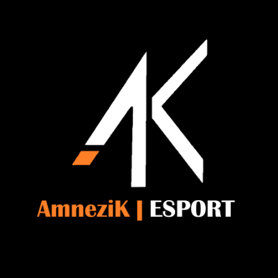 AmneziK | Esport logo