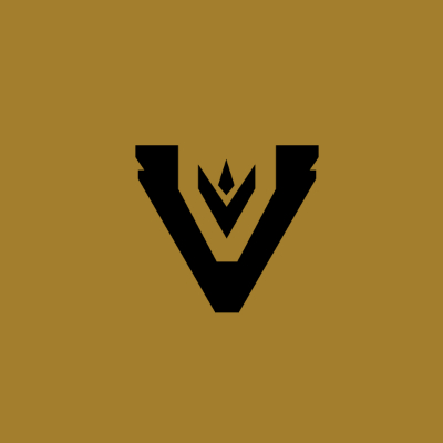 Team Vitreous logo