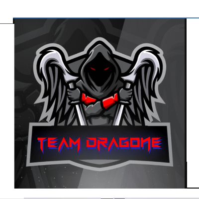 team dragone logo