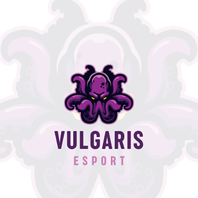 Vulgaris Esport logo