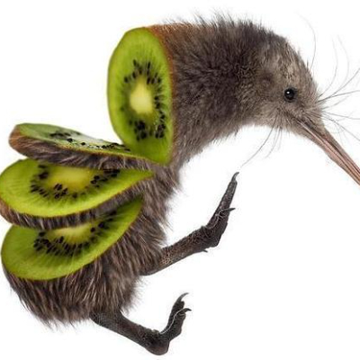 KIWI.-_.- icon