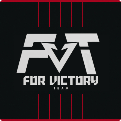 FVT TEAM logo