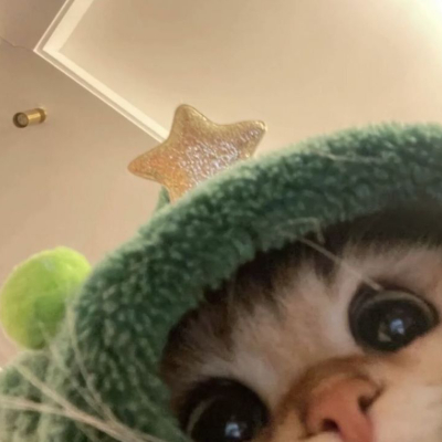 Numiaa icon