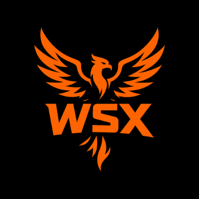 WsX esport logo