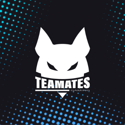 Teamates Gaming Esport Valorant logo