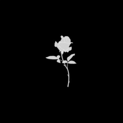 Dark1nk icon