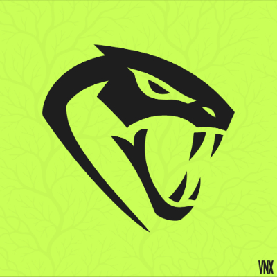 VENOX ESPORTS logo
