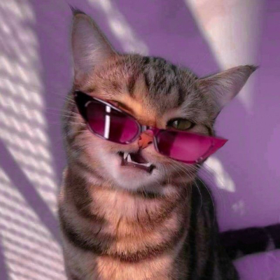 laSonde icon