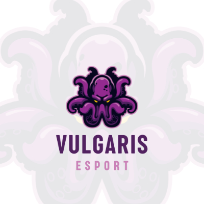 Vulgaris Esport logo